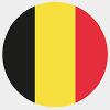 Belgium flag logo for surgery experience