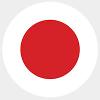 Japan flag logo for surgery experience